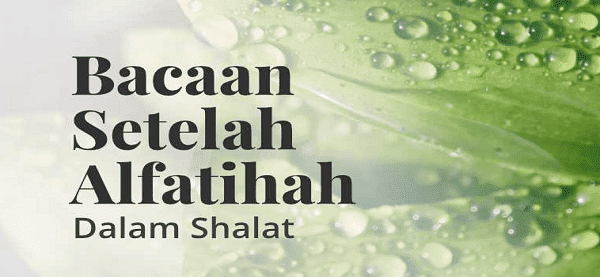 Surat apa yang dibaca setelah Al-Fatihah Surat apa yang dibaca setelah Al-Fatihah